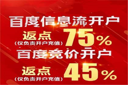 百度竞价推广运营实战技巧与经典案例剖析
